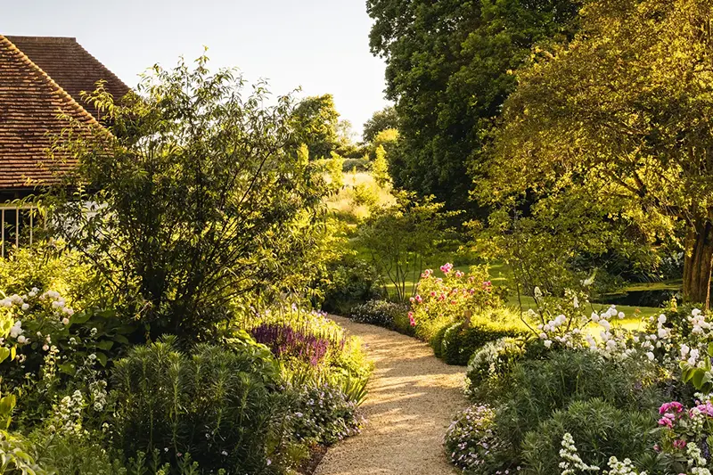 Management of Pests and Diseases in Nursery Stock